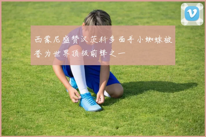 西蒙尼盛赞汉茨科多面手小蜘蛛被誉为世界顶级前锋之一
